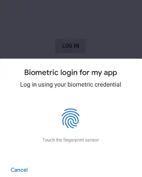 Biometric Authentication